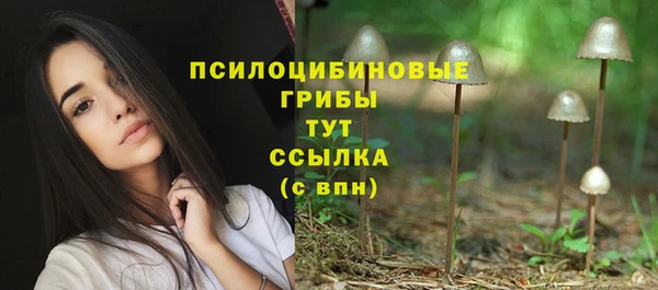COCAINE Краснослободск